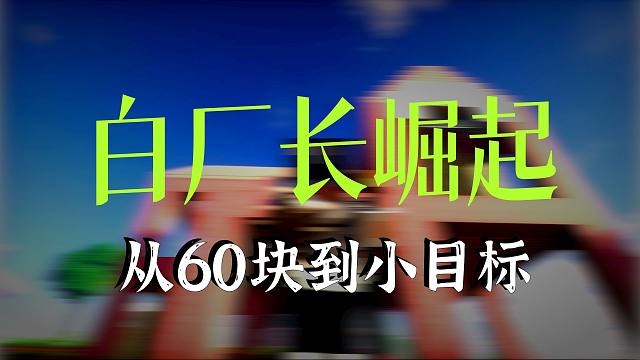 白厂长立誓要赚到1个小目标！在我的世界里玩星露谷物语P3