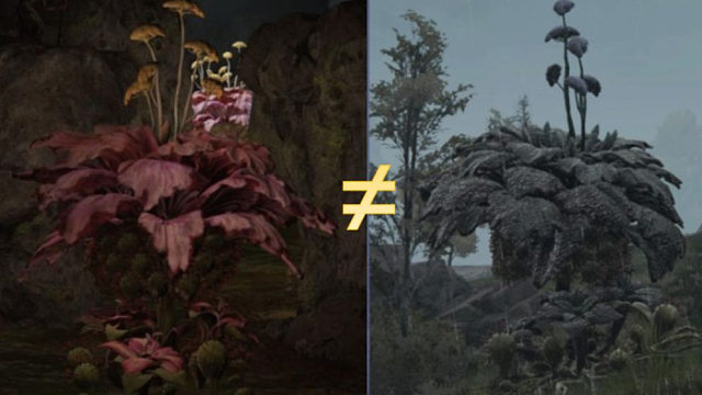 黑夜君临大学习DLC：癫火花