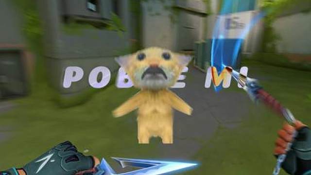 挖你的鼻孔 喵喵