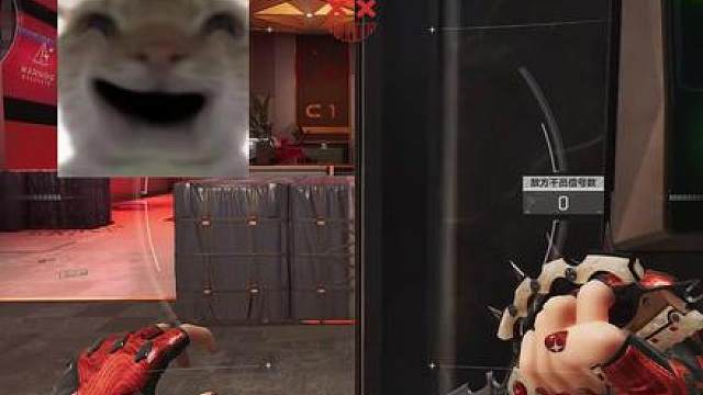 倒霉熊真的停播了吗 进来照镜子