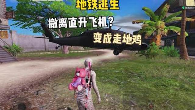 撤离飞机变成走地鸡