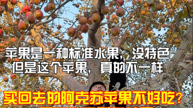 阿克苏苹果一点都不无聊，这才是苹果味，新疆阿克苏苹果来了