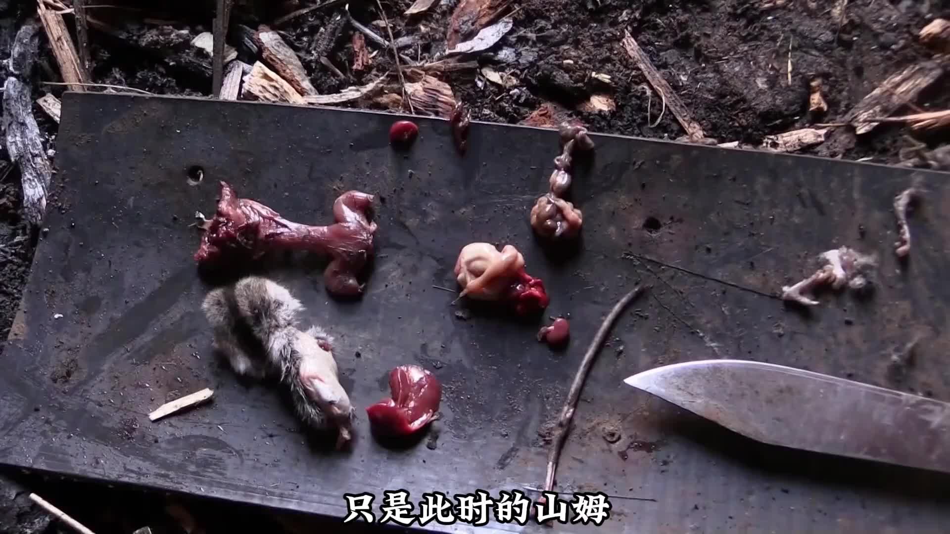 荒野独居第一季终于来到大结局她竟然一路靠啃海带坚持到了最后 (1)