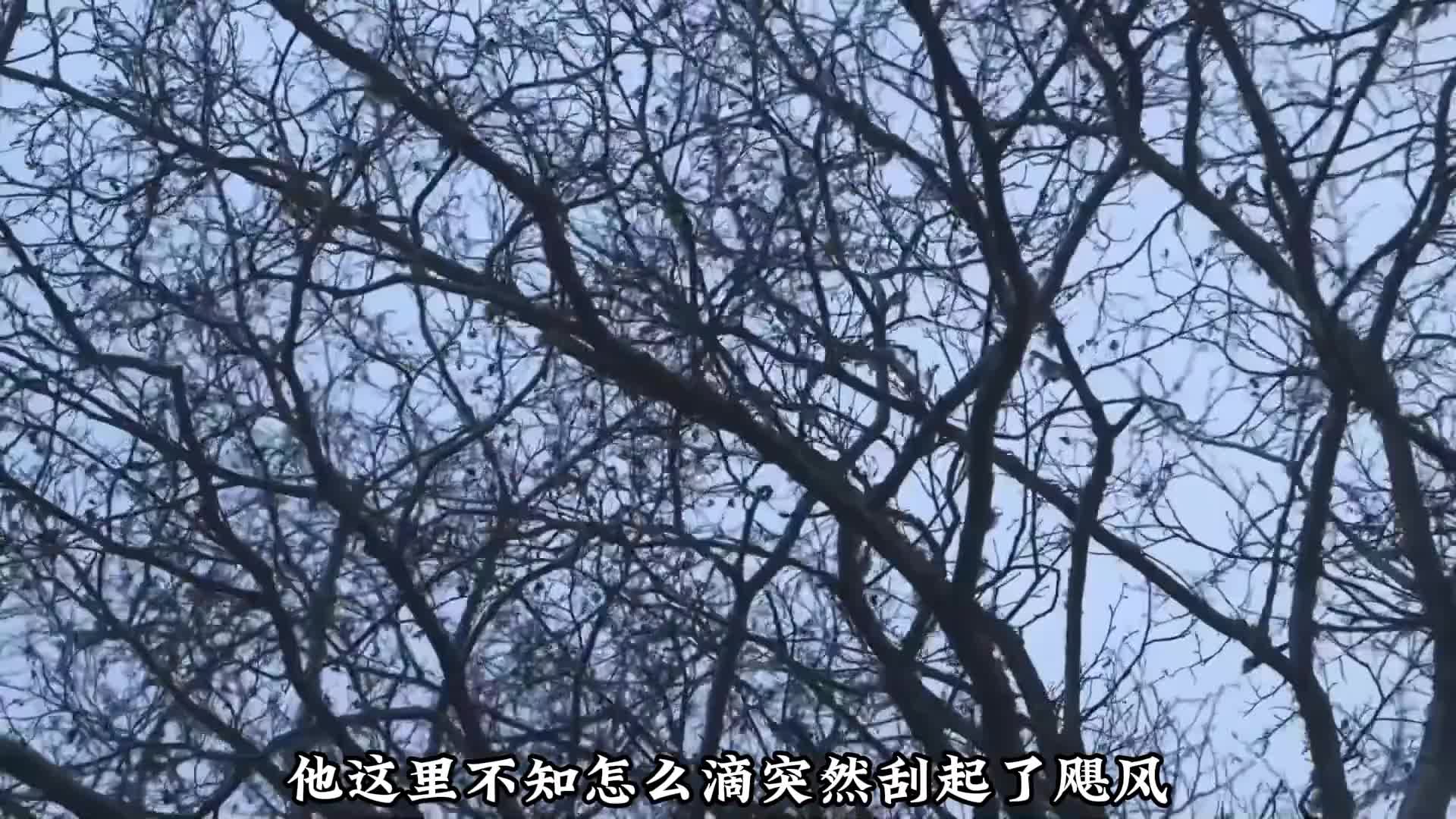 荒野独居第一季终于来到大结局她竟然一路靠啃海带坚持到了最后 (2)