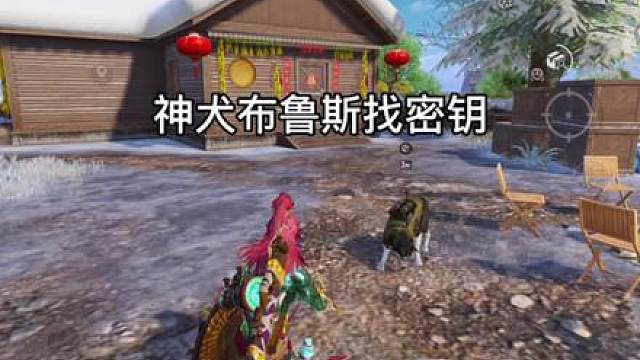 布鲁斯帮我找到指挥官密钥了？