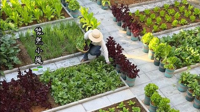 这种小院生活是你喜欢的吗？#田园生活