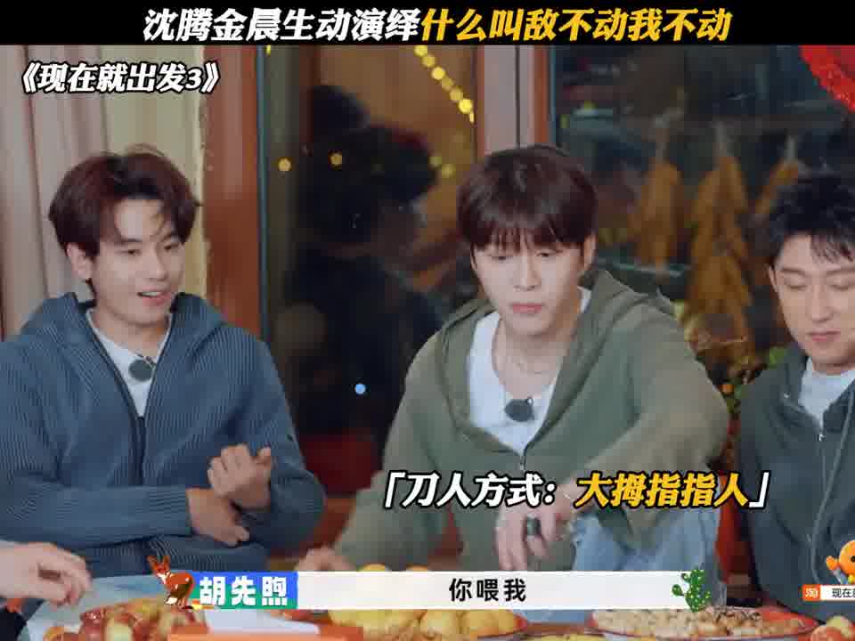 沈腾金晨生动演绎什么叫敌不动我不动