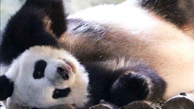 不想起床~那就再赖一会儿吧