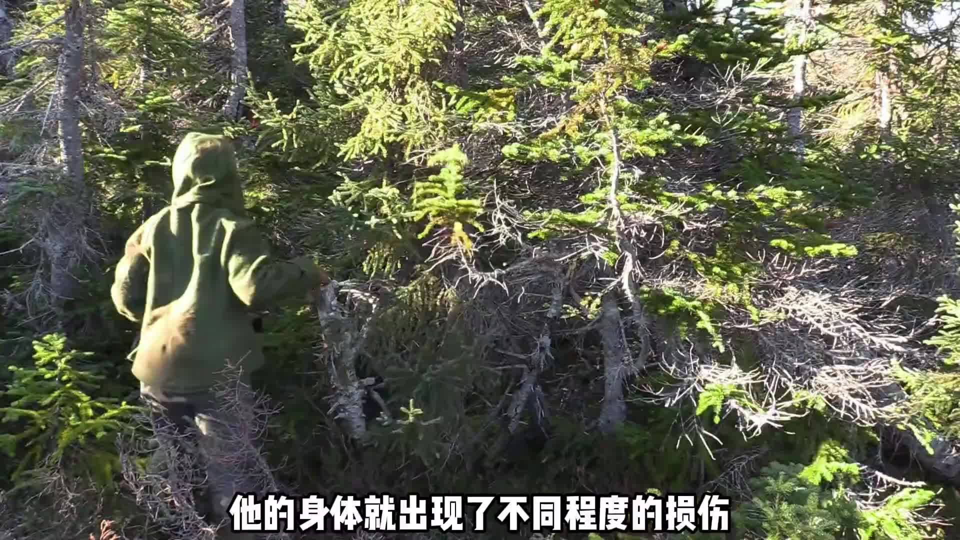 开局既是冬天生存难度加倍，究竟谁能坚持到最后 (3)