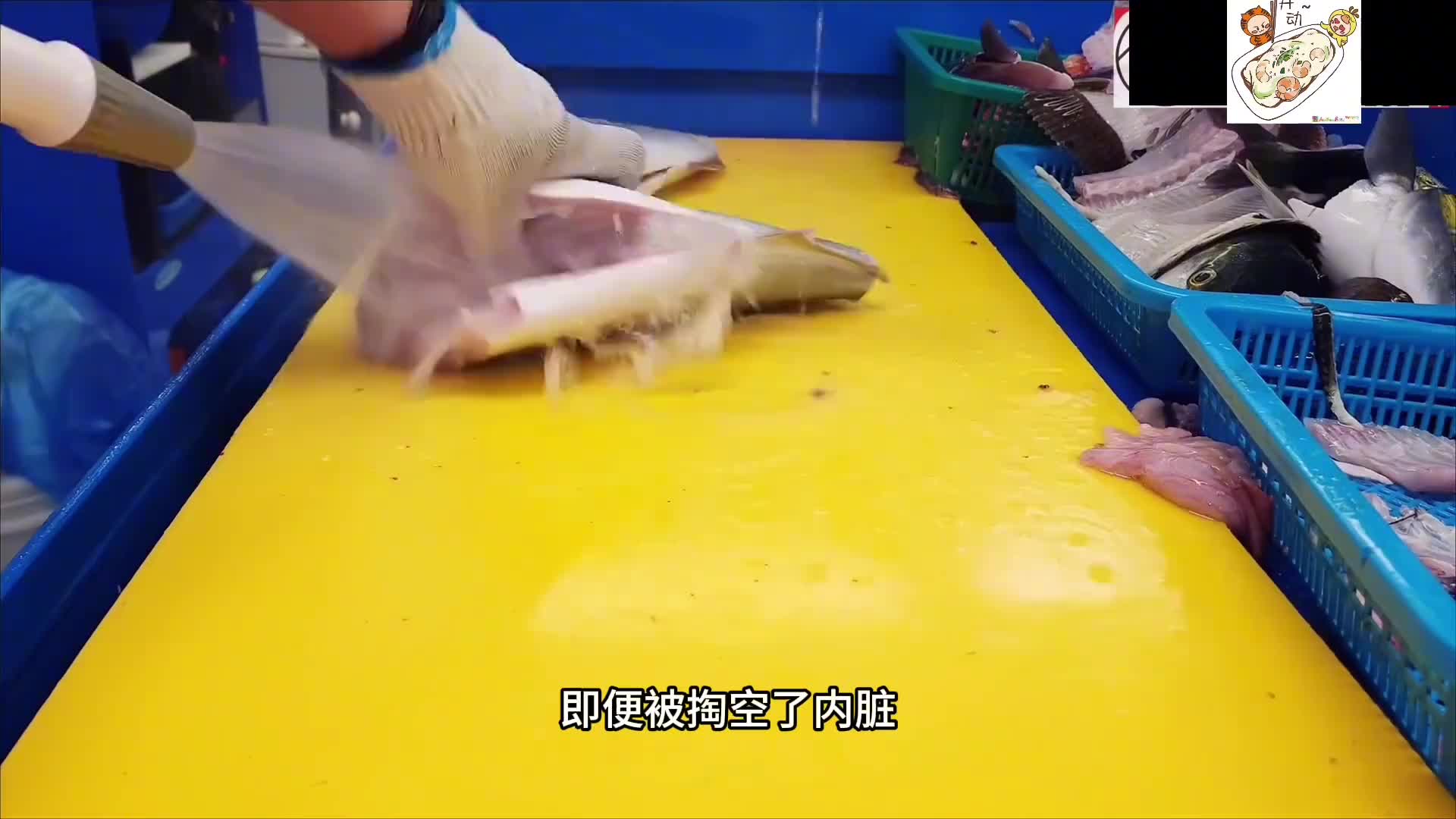 这两条鱼就是因为话太多才被摆上了餐桌