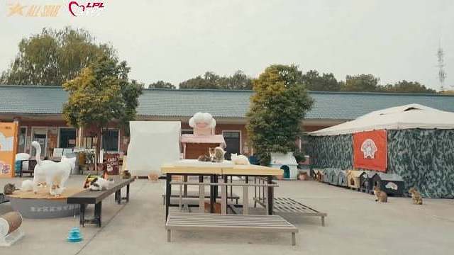 冬日里的一抹温暖！Park看到LPL组织战队、选手、主持解说团建，这次只为救助流浪猫，希望大家可以用领养代替购买，给在外飘零的流浪猫一个家。 此外现身流浪猫之家的十位选手TheShy、Rookie、Gala、Jiejie、JackeyLove、Crisp、Flandre、Tarzan、小虎、Kael挑选了十只猫咪，并且为他们取名，等待爱心召唤师的领养，详情如下： 小猫名字：大虎 爱它倡行伙伴： 小