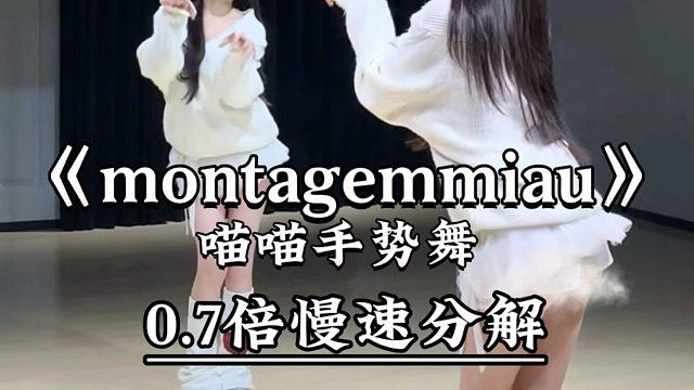 《montagemmiau》喵喵手势舞 慢速喊拍分解