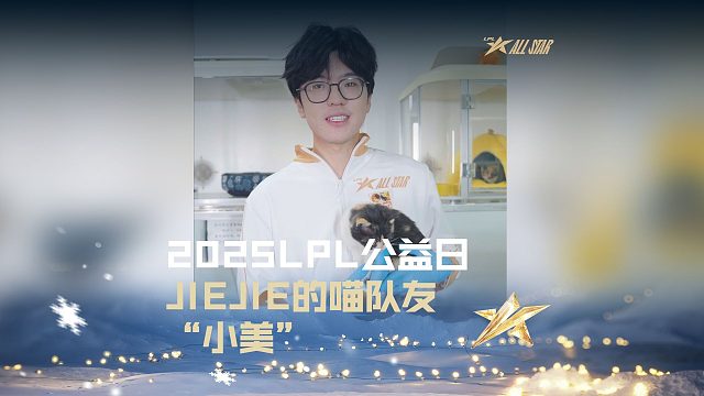 Jiejie的喵队友“小美”正期待与爱心召唤师的相遇。