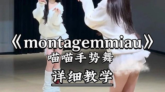 《montagemmiau》喵喵手势舞 详细教学来了