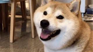 坤坤正式牽手PUBG，特工k已就位！