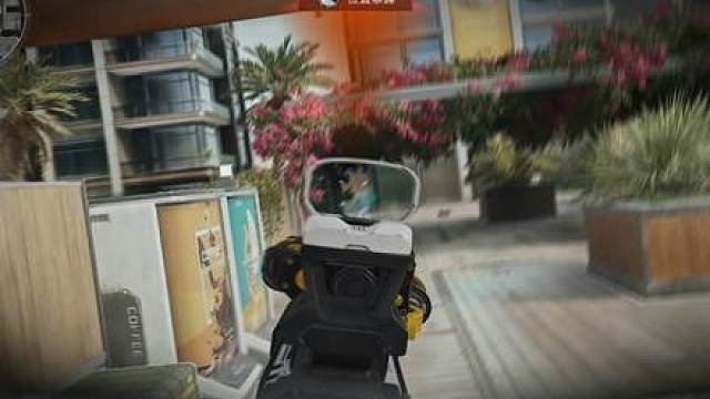 泽哥你好 小呆呆已经就位