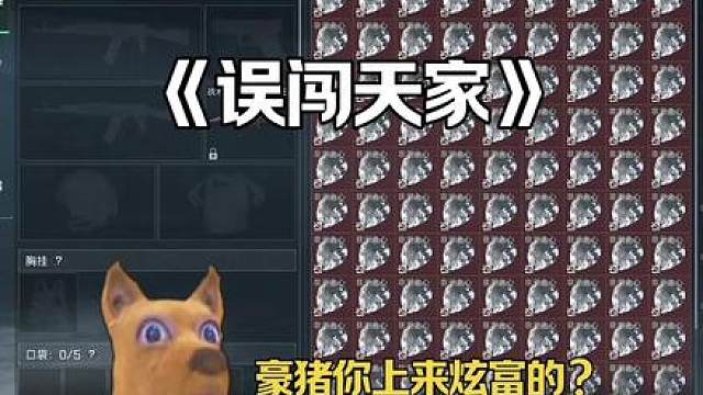 豪猪圆梦了，天才少年