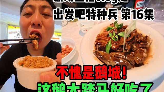 不愧是鹅城！ 这鹅太踏马好吃了