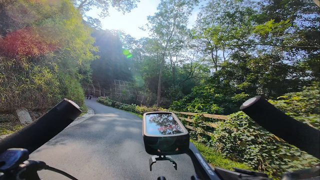 【4K】自由又自愈穿梭在山林中骑行vlog