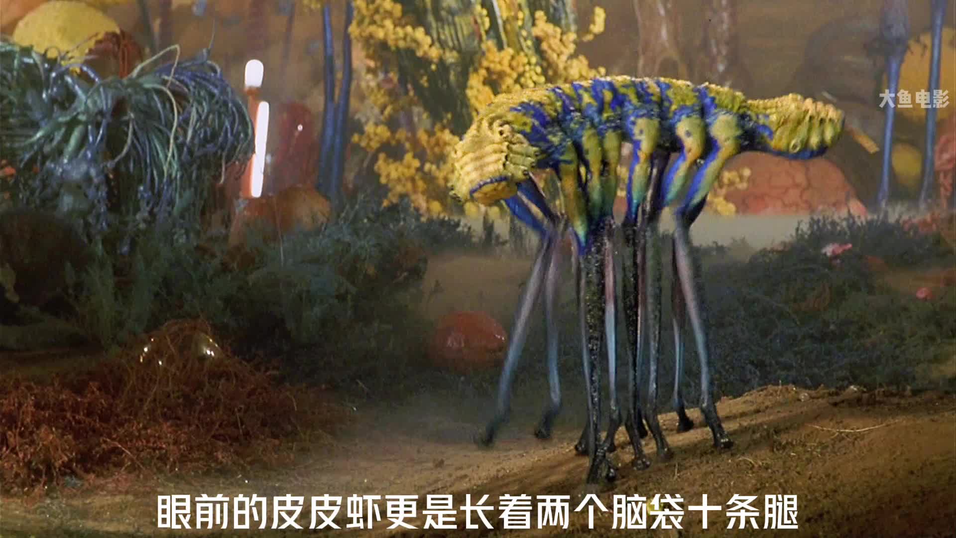 第3集丨进化危机