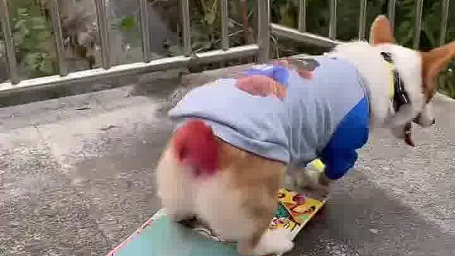 想换新滑板了是不？