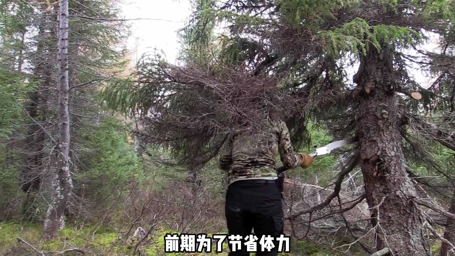 开局既是冬天，选手为了生存到最后会用什么办法哪 (2)