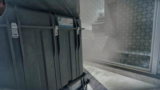 二员？特勤处一号位！谁来了都得吃一梭子，魔王护也得掉一命