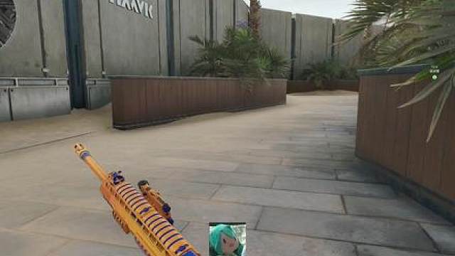 两个可爱的野排队友