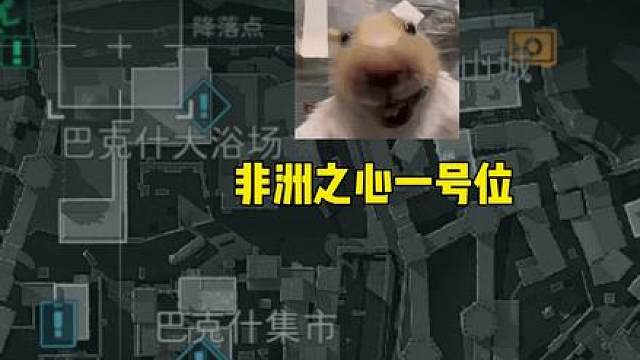 三分钟让你爱上绝密巴克什，鼠鼠跑刀手搓非洲之心