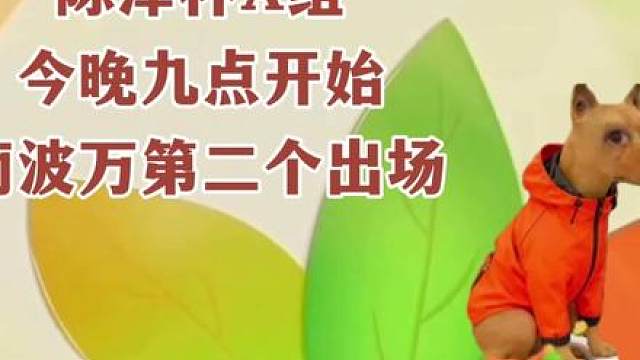 陈泽杯A组今晚布鲁斯第二个出场