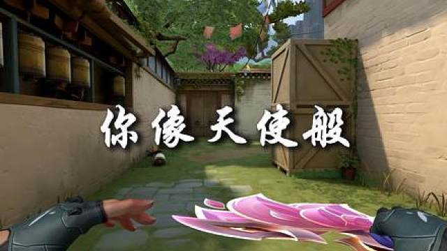 苦茶子这东西我只听不穿的