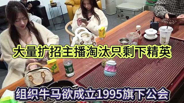 1995牛马欲成立旗下公会，大量扩展主播剩下几个精英