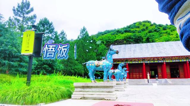 悟饭来了Wufan is here.