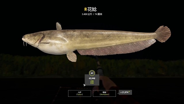 30图下通河-星花鲶