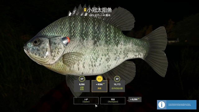 2图埃尔克湖-新图刚出第一天，137-140星，美洲真鲫，太阳鱼，斑点叉尾鮰，小冠太阳鱼，库存