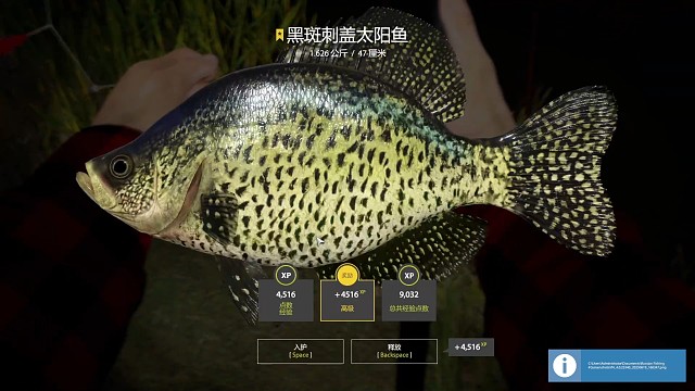 2图埃尔克湖-新图第二天141-144星，蓝腮太阳鱼，金眼狼鲈，黑刺盖，白刺盖