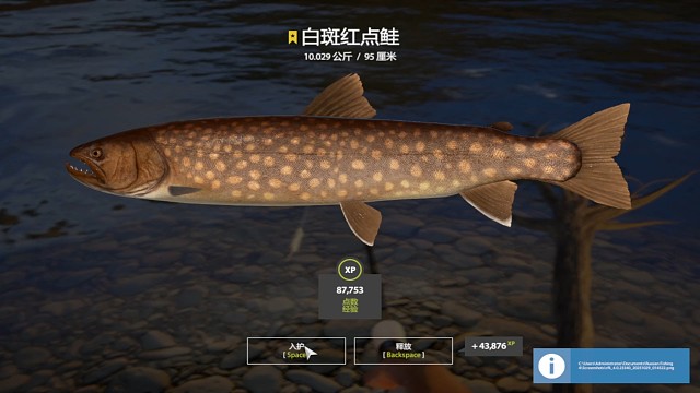 32图亚马河-星白斑红点鲑（146星），测点拿下