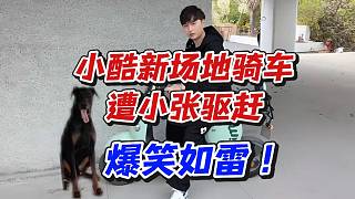 小酷新場地騎車遭小張驅(qū)趕！爆笑如雷