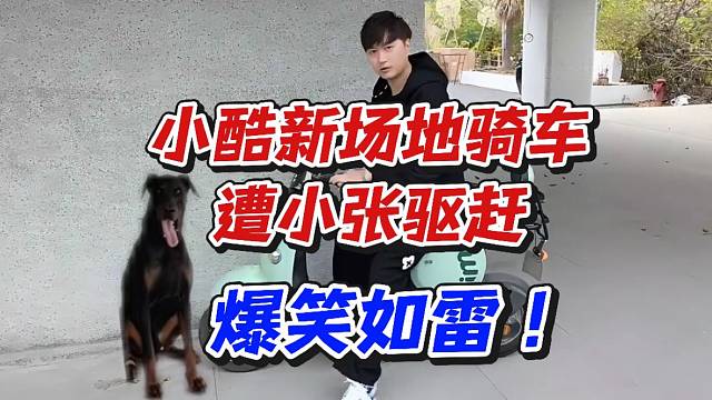 小酷新场地骑车遭小张驱赶！爆笑如雷