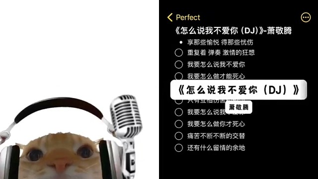 我要怎么说我不爱你