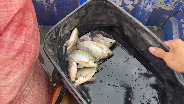 出来就有收获，空军不存在的