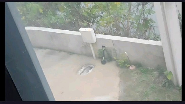 【小酷】全景厕所，这玩意儿居然真实存在！