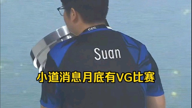 蒜头：我听的小道消息是月底好像国内有一个比赛要办吧，应该有VG吧！