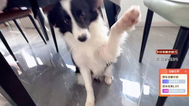 变身吧，暴龙形态