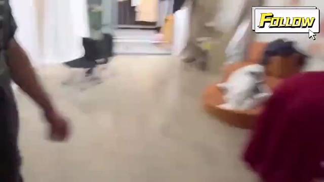 怎么忍住不拍一下的？