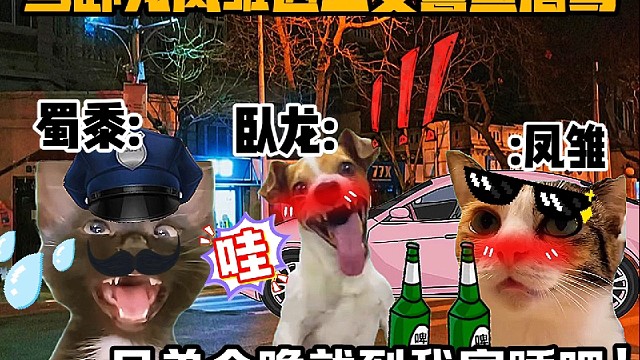 《猫meme小剧场》当卧龙凤雏遇上交警查酒驾！