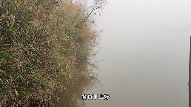 河水在晨曦中起雾，宛如仙境般的景象令人陶醉。