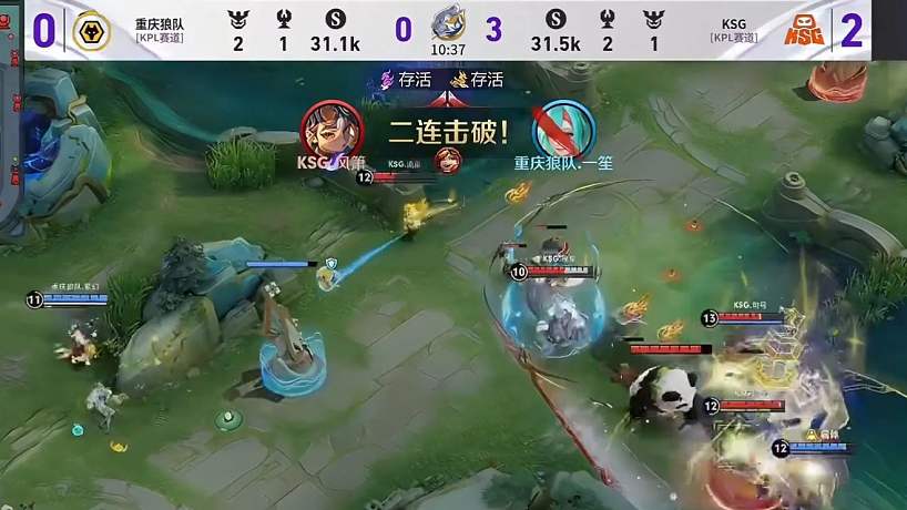 T執(zhí)白呀的直播