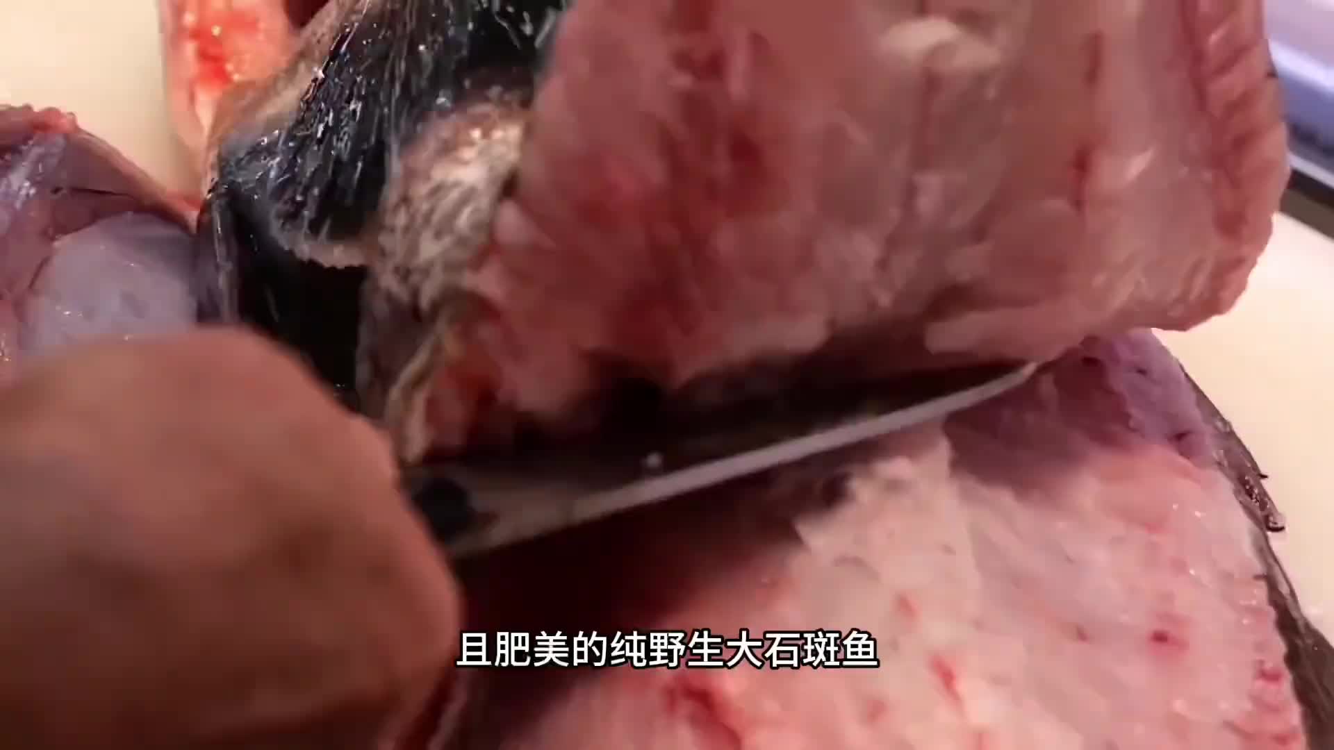 从来没见过如此新鲜且巨型的野生石斑鱼