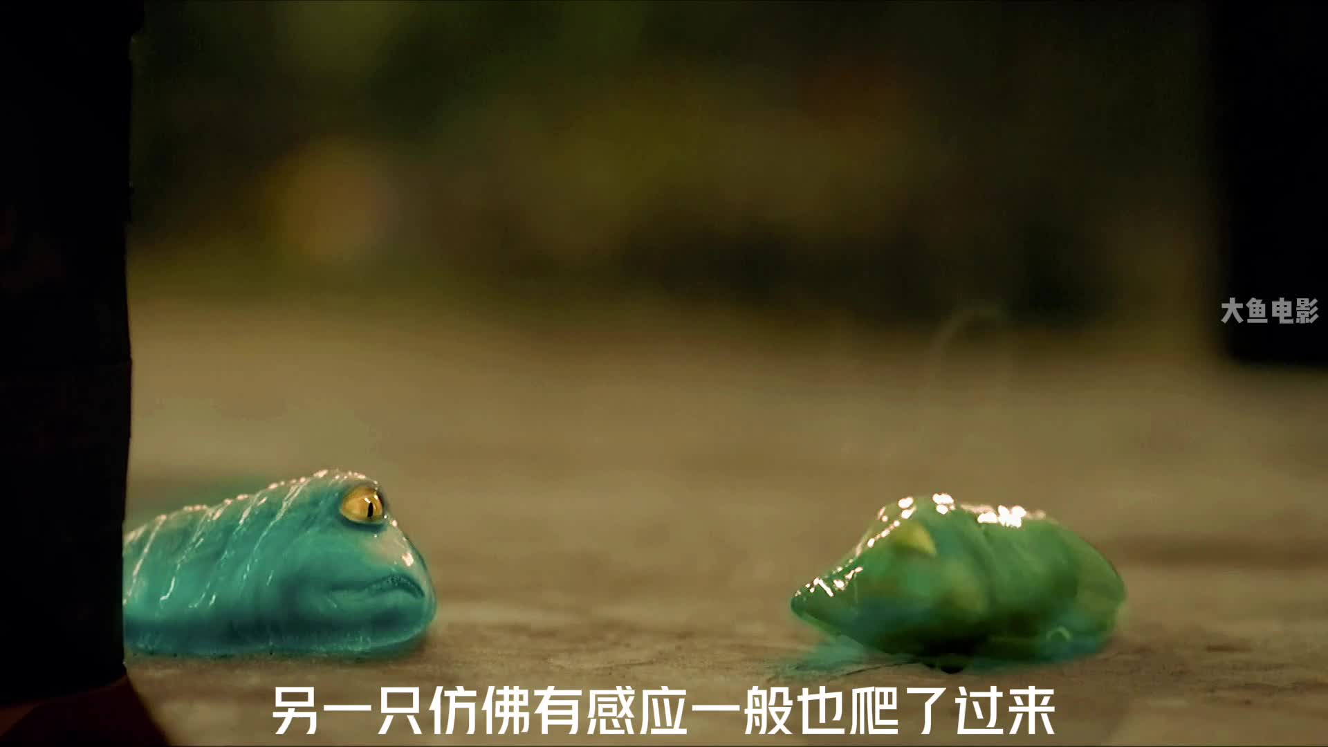 第2集丨虫虫欲动